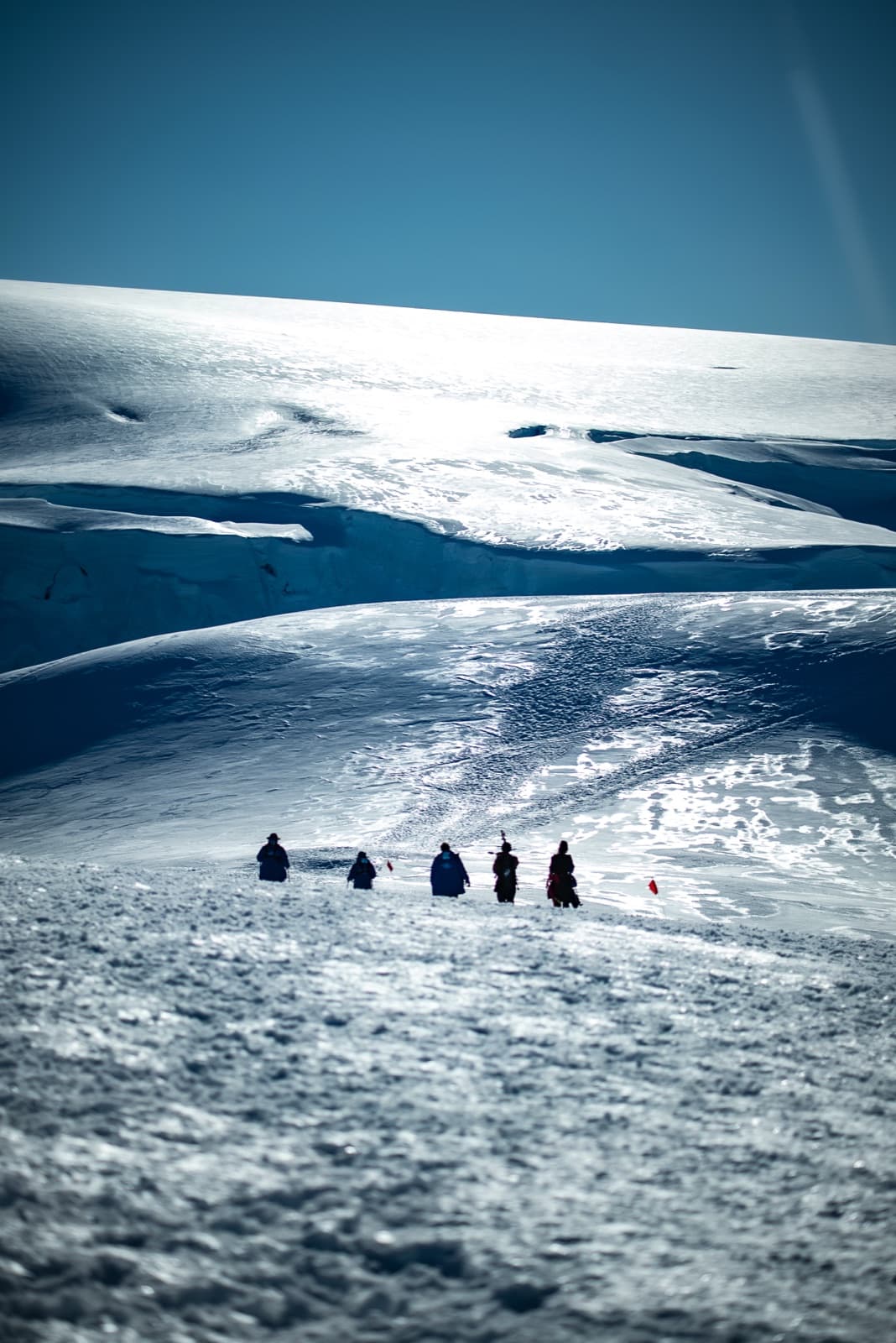 Trekking across the ice during the Wonder Summit expedition, Antarctica